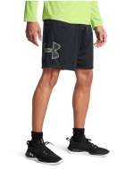 Men's UA Tech™ Graphic Shorts 