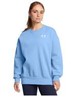 Women's UA Essential Fleece Oversized Crew Long Sleeve 