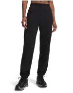 Unstoppable Flc Gym Pant 