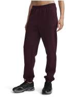 Unstoppable Flc Gym Pant 