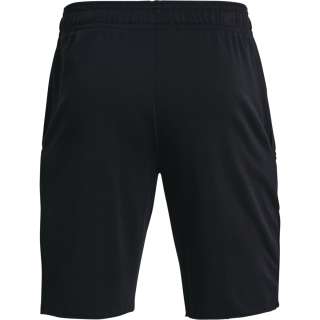Men's Project Rock Terry Shorts
