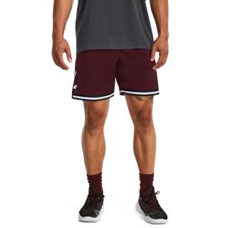 Men's Curry Mesh Shorts 