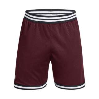 Men's Curry Mesh Shorts 