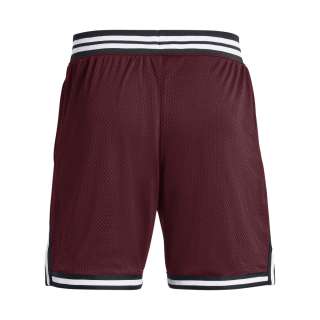 Men's Curry Mesh Shorts 