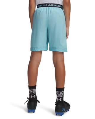 Ua Vanish Shorts 