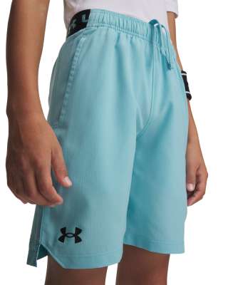 Ua Vanish Shorts 