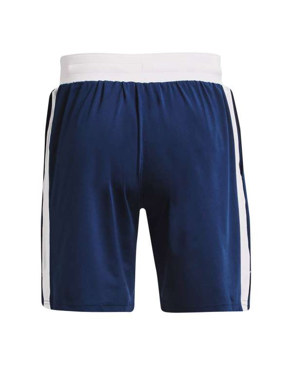 Men's Project Rock Boxing Shorts 