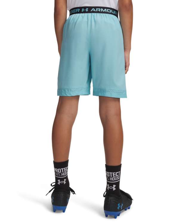 Ua Vanish Shorts 