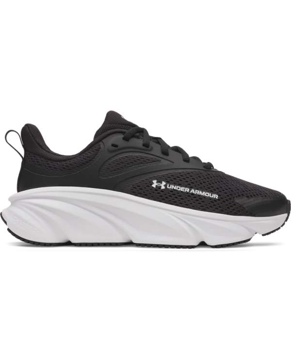 Ua Bgs Rogue 6 