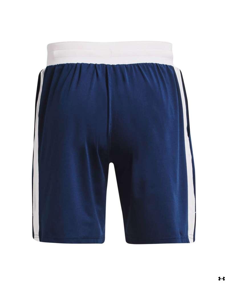 Men's Project Rock Boxing Shorts 