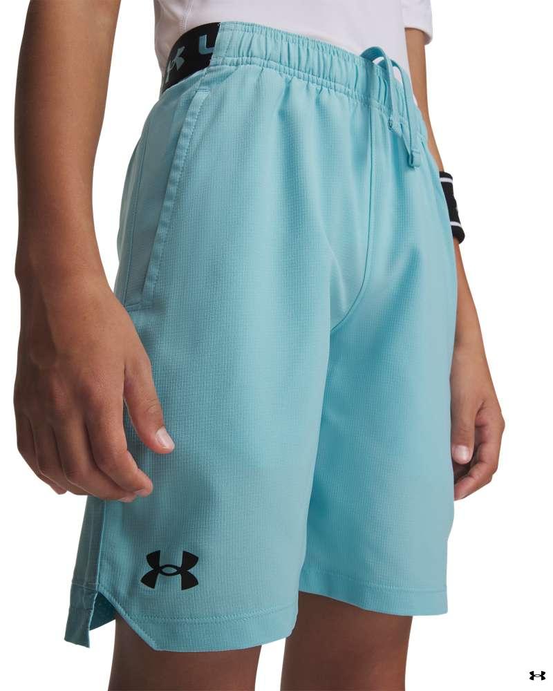 Ua Vanish Shorts 