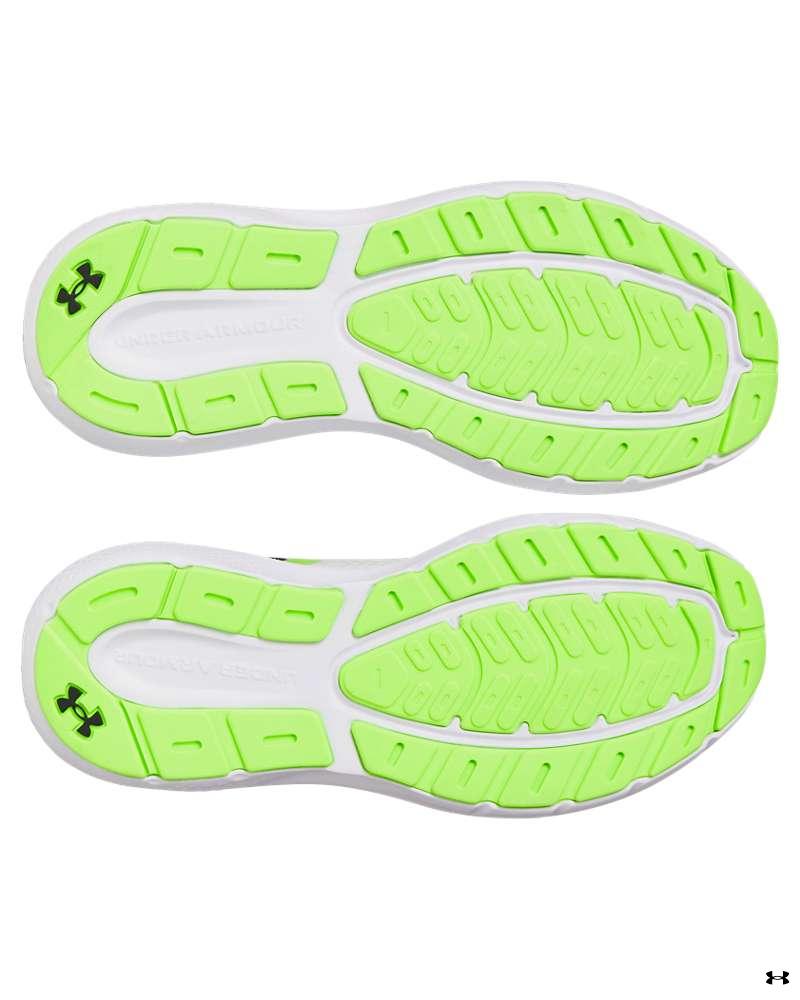 UA Rogue 5