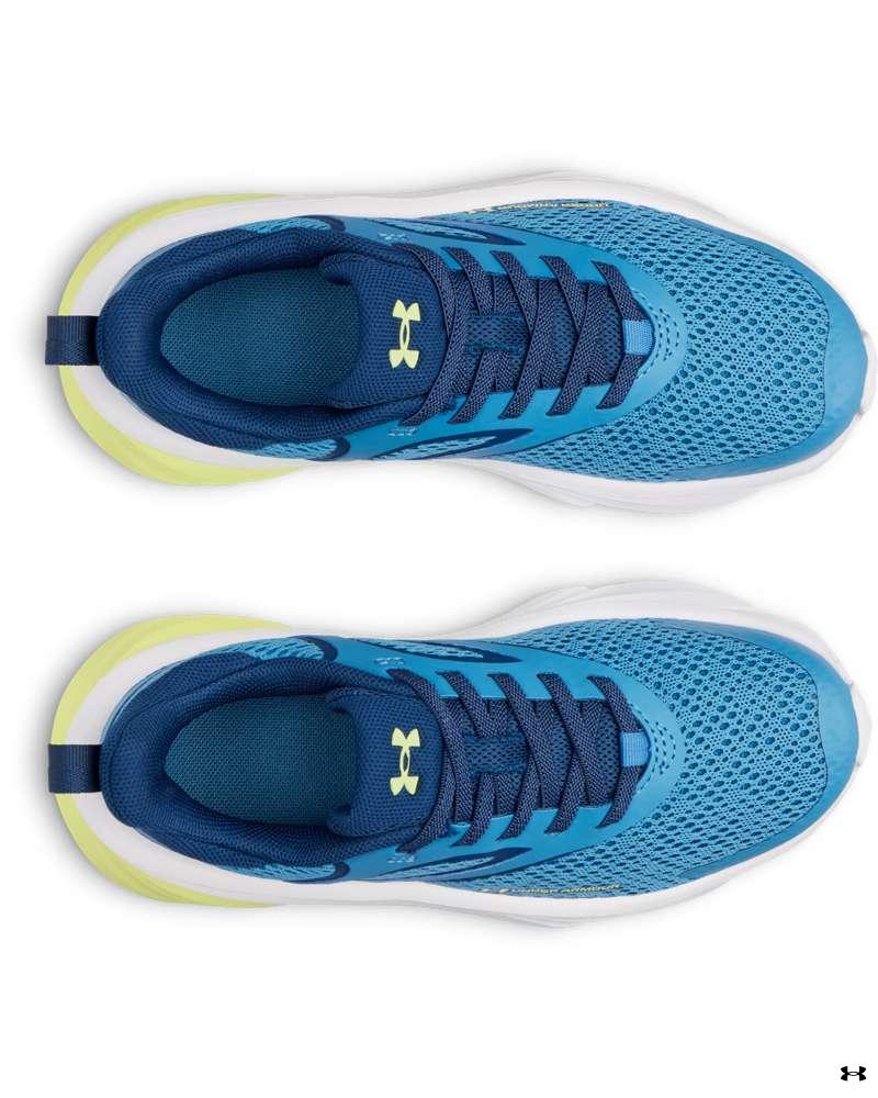 UA BPS Rogue 6 AL 