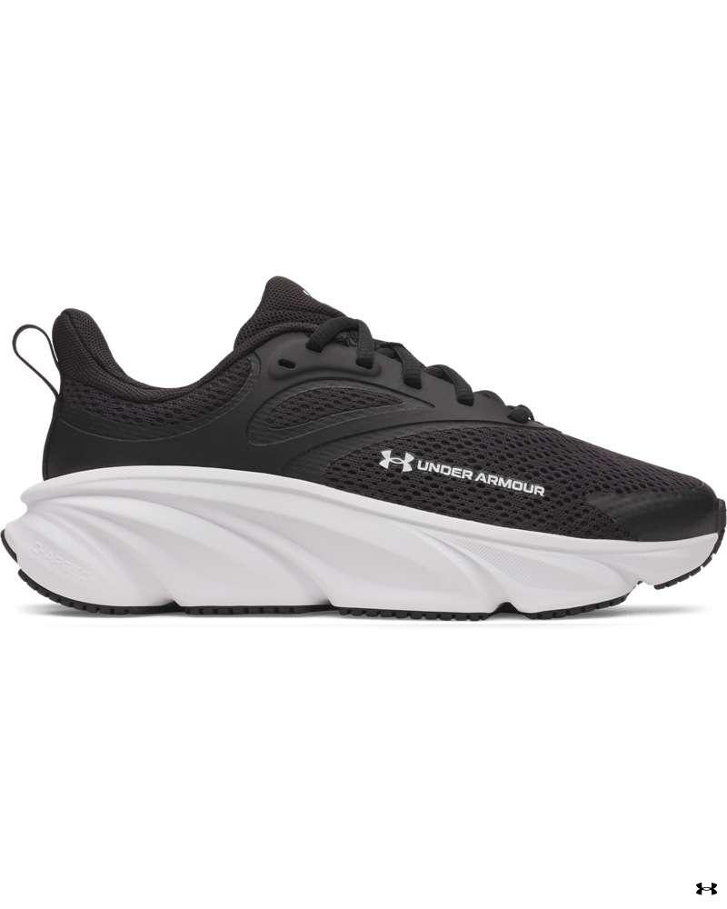 Ua Bgs Rogue 6 